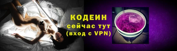 прущий лед Алзамай
