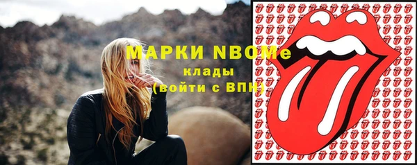 прущий лед Алзамай