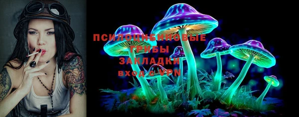 прущий лед Алзамай