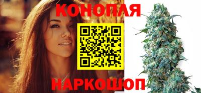 крисы Ноябрьск