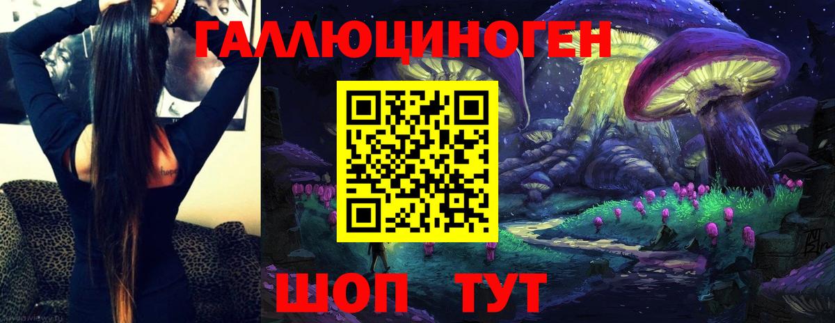 Псилоцибиновые грибы Cubensis Слободской